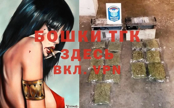 ешки Аркадак