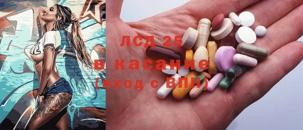 ешки Аркадак