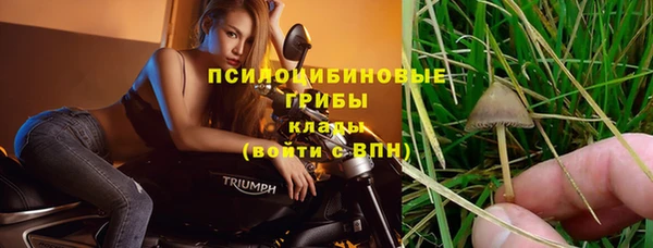 ешки Аркадак